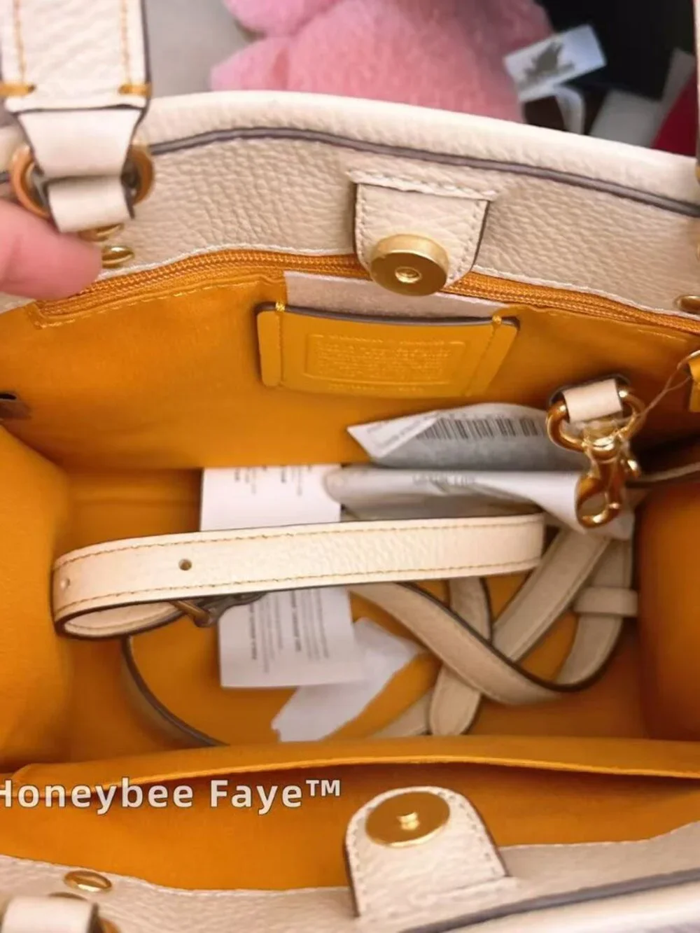 Coach nwt peanuts